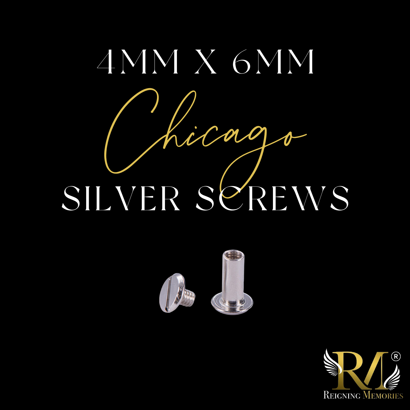 4mm x 6mm Silver Chicago Screws